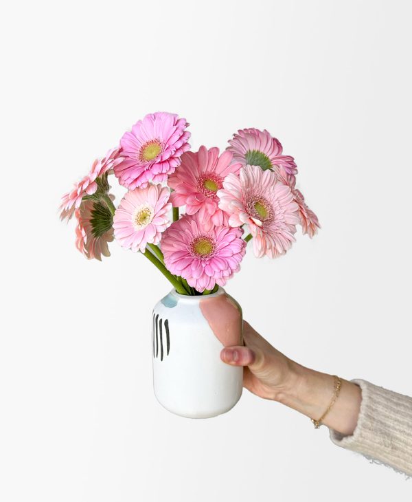 Ahead of the Gerb (11 stems, arrives in vase)