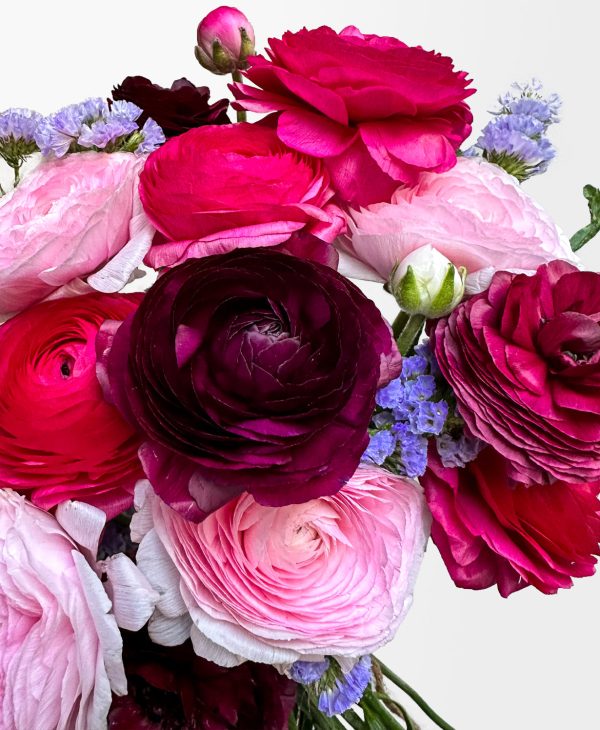 Bumbleberry Ranunculus (15+ stems) - Image 2