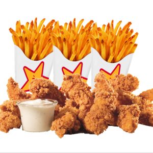 9pc Tenders & Fries