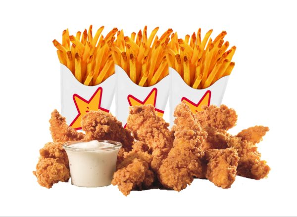 9pc Tenders & Fries