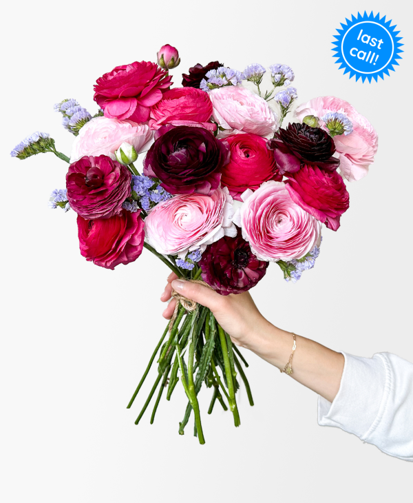 Bumbleberry Ranunculus (15+ stems) - Image 13