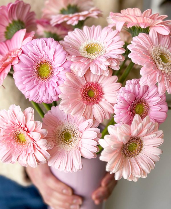 Ahead of the Gerb (21 stems, arrives in vase) - Image 7