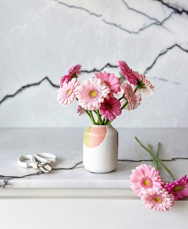 Ahead of the Gerb (11 stems, arrives in vase) - Image 4