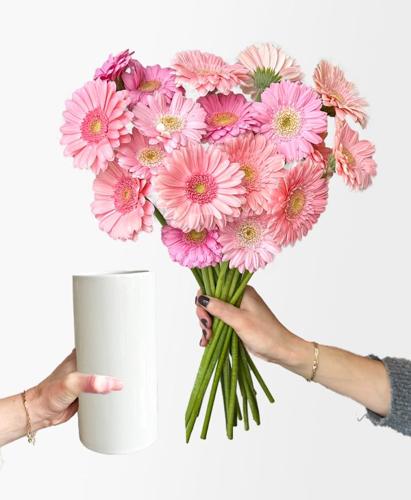 Ahead of the Gerb (21 stems, arrives in white vase)