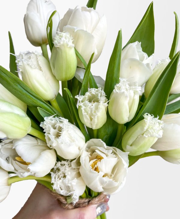 All-white, all-white, all-white (30 Stems) - Image 2