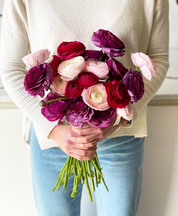 Bumbleberry Ranunculus (20 stems) - Image 7