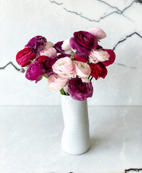 Bumbleberry Ranunculus (20 stems) - Image 4