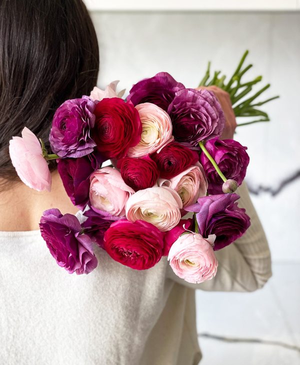 Bumbleberry Ranunculus (20 stems) - Image 5