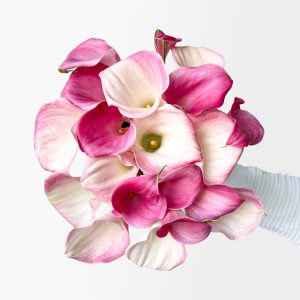Calla On Me (20 Stems)