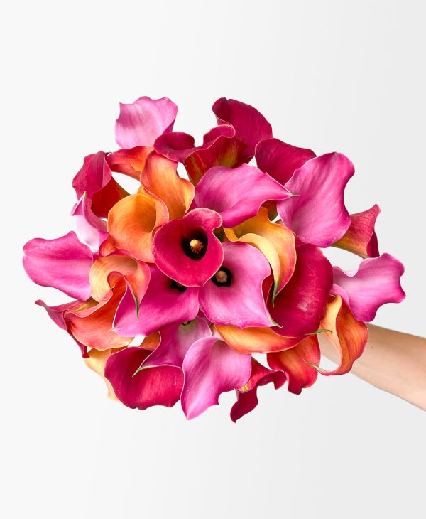 Calla the Shots (30 Stems)