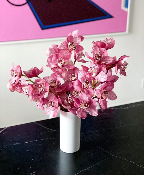 Boysenberry Cymbidium (3 stalks, 24+ blooms) - Image 5