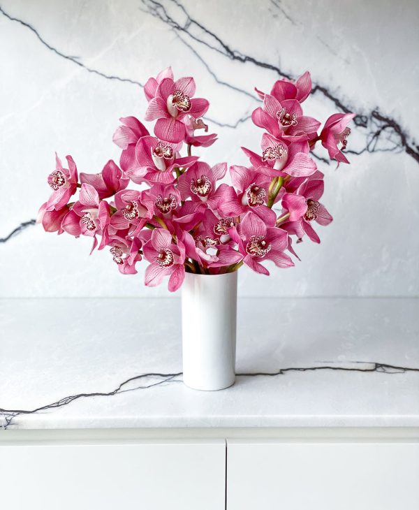 Boysenberry Cymbidium (3 stalks, 24+ blooms) - Image 6
