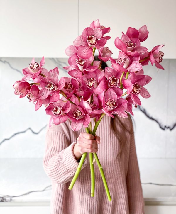 Boysenberry Cymbidium (3 stalks, 24+ blooms) - Image 7