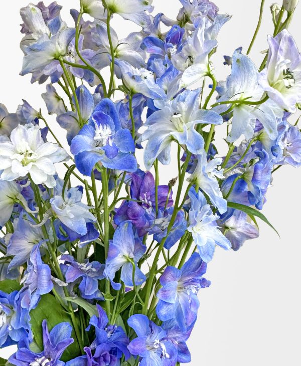Blue Wave Delphinium (Arrives in vase) - Image 2