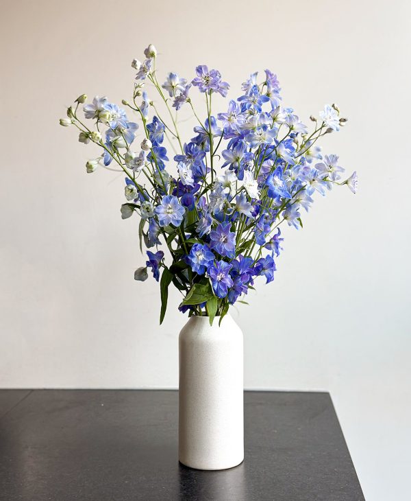 Blue Wave Delphinium (Arrives in vase) - Image 4