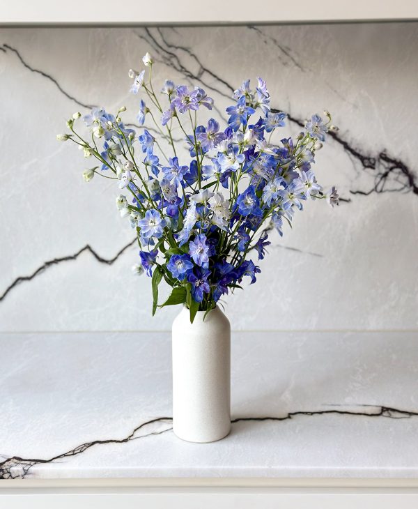 Blue Wave Delphinium (Arrives in vase) - Image 6
