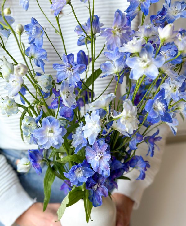 Blue Wave Delphinium (Arrives in vase) - Image 5