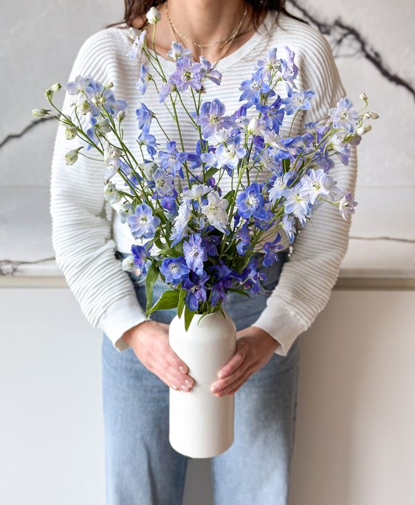 Blue Wave Delphinium (Arrives in vase) - Image 3