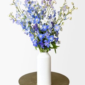 Blue Wave Delphinium (Arrives in vase)