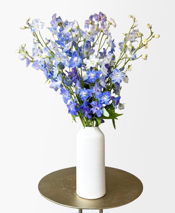 Blue Wave Delphinium (Arrives in vase)