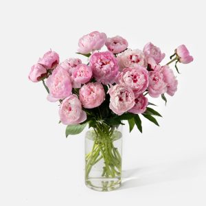 Double the Peony