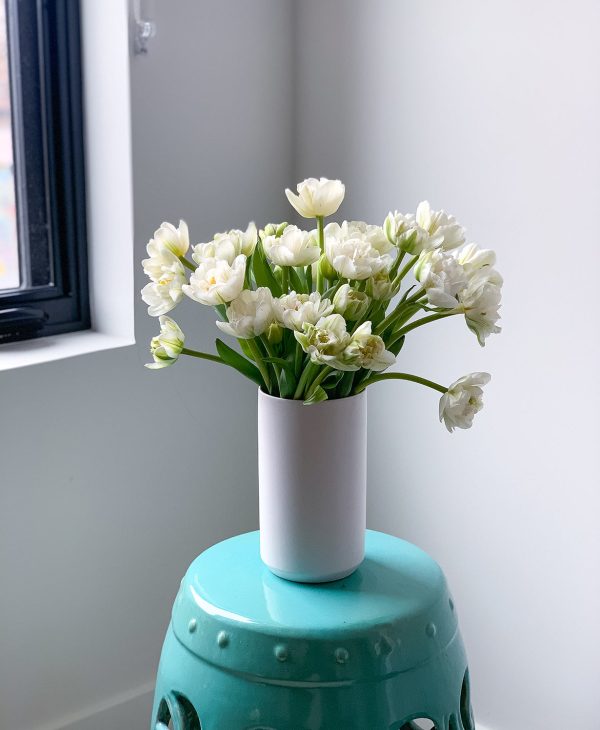 All-white, all-white, all-white (30 Stems) - Image 6