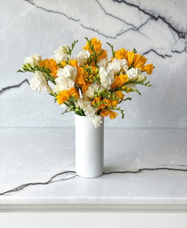Be a Pineapple Freesia (40 stems, 80+ blooms) - Image 7