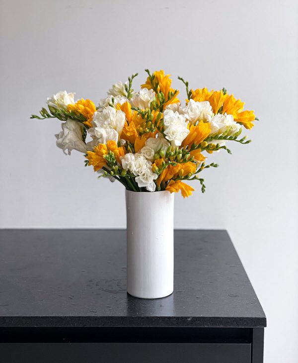 Be a Pineapple Freesia (40 stems, 80+ blooms) - Image 8