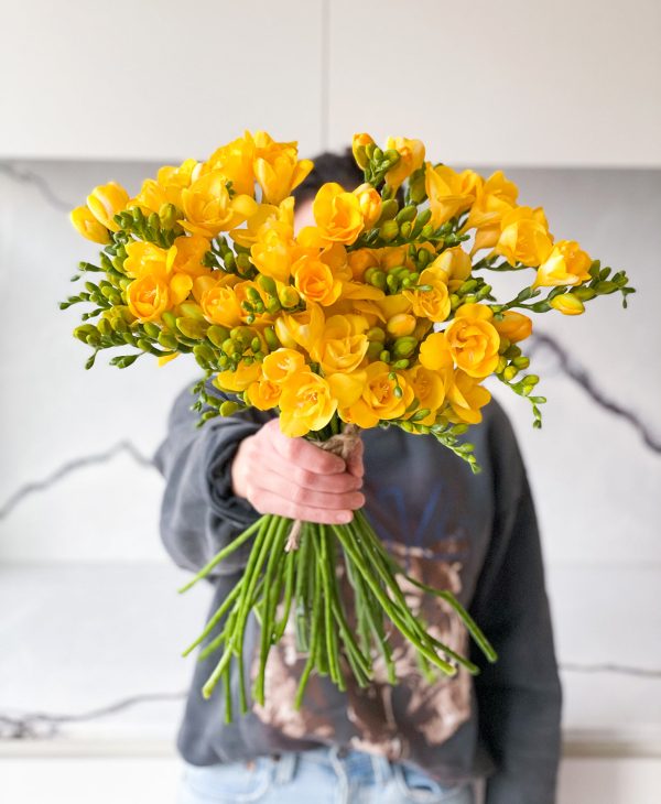 Bumblebee Freesia (40 stems, 80+ blooms) - Image 3