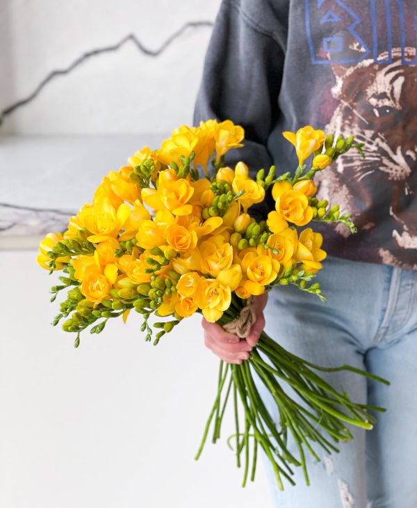 Bumblebee Freesia (40 stems, 80+ blooms) - Image 5