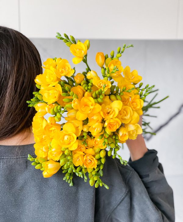 Bumblebee Freesia (40 stems, 80+ blooms) - Image 6