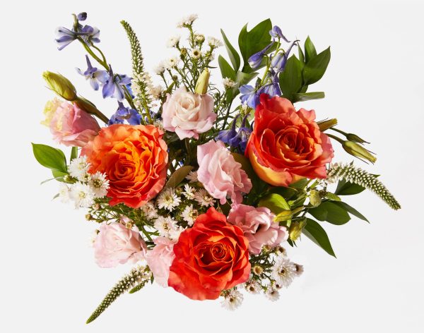 The Mrs. Dalloway - Image 2