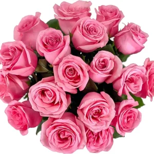 Arabella Bouquets 18 Pink Fresh Roses Vase Real Birthday Anniversary Mother's Day Gift for Women Thank You-Souvenir Delivery