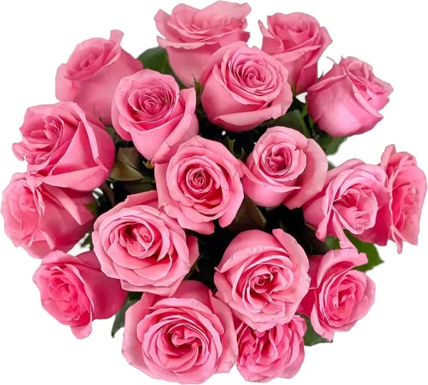 Arabella Bouquets 18 Pink Fresh Roses Vase Real Birthday Anniversary Mother's Day Gift for Women Thank You-Souvenir Delivery