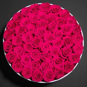 50 Piece Preserved Red Roses in a Velvet Box Birthday Gifts for Women Mom and Wife Elegant Souvenirs for Delivery
