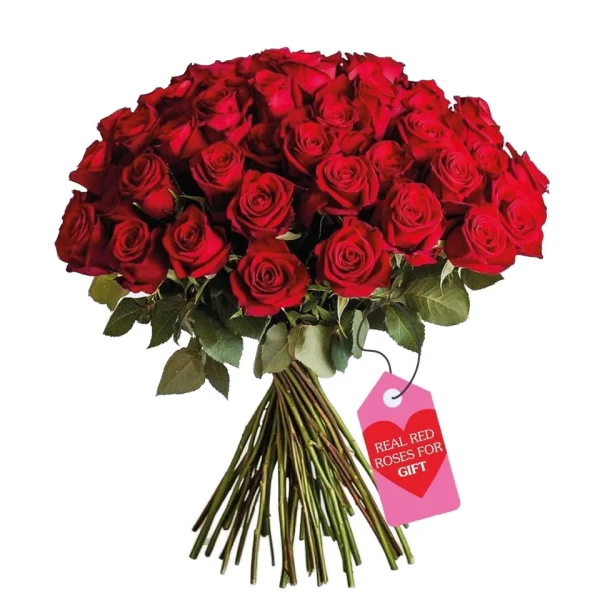 GlobalRose 500 Red Fresh Roses Bouquet Responsibly Sourced Hand-Picked Flowers for Special Occasions Mother's Day Birthday 20 - Image 5