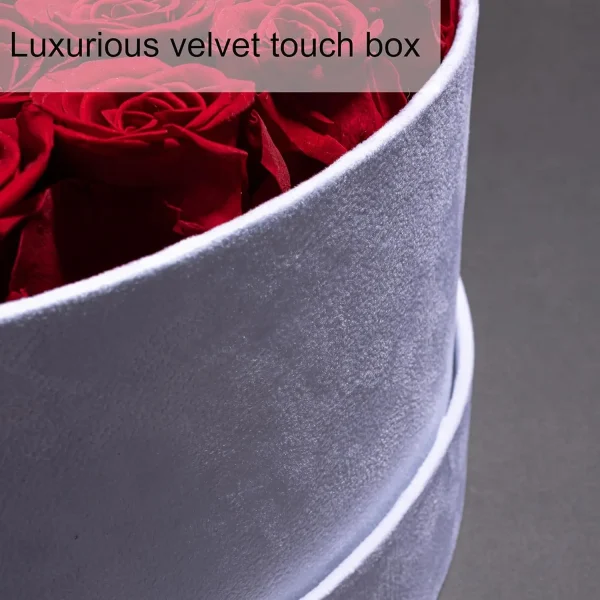 50 Piece Preserved Red Roses in a Velvet Box Birthday Gifts for Women Mom and Wife Elegant Souvenirs for Delivery - Image 2