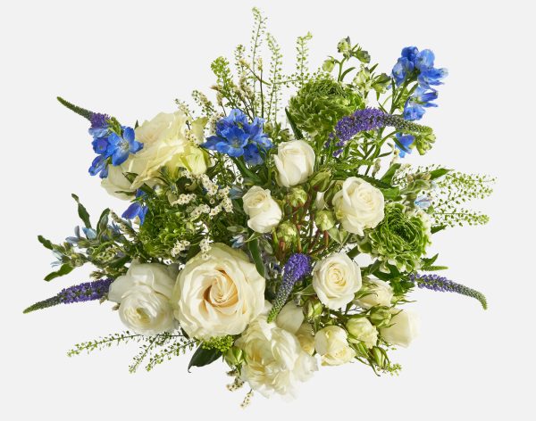 The Linen - Image 2