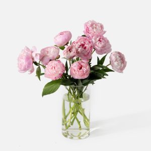 The Peony