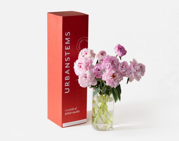 The Peony - Image 3