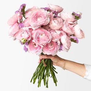 Bubble Gum Ranunculus (18+ stems)