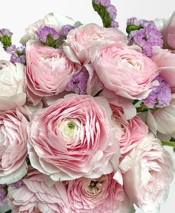 Bubble Gum Ranunculus (18+ stems) - Image 2