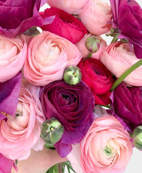 Bumbleberry Ranunculus (20 stems) - Image 8