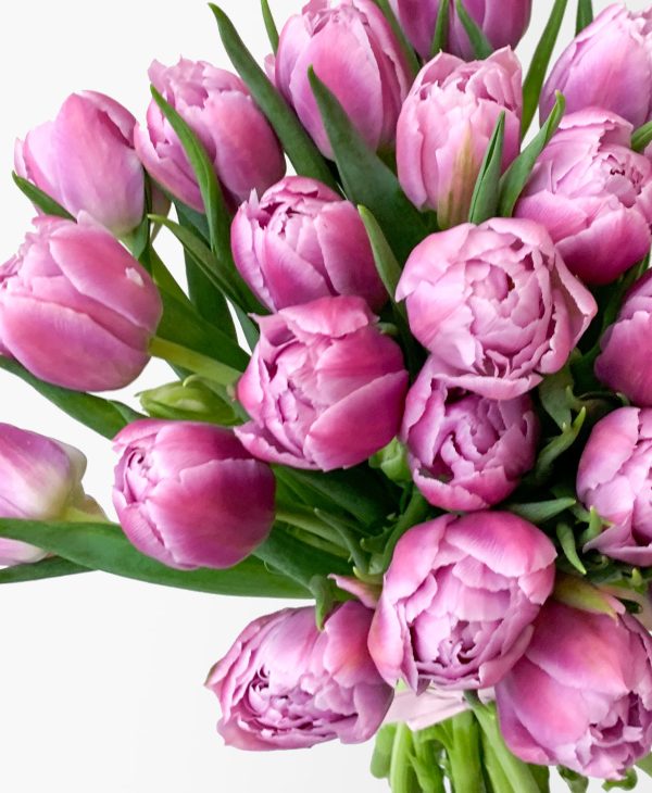 Bust a Mauve Double Tulips (25 stems) - Image 3