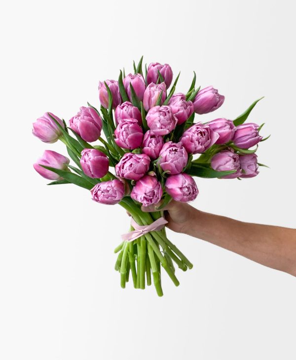 Bust a Mauve Double Tulips (25 stems)