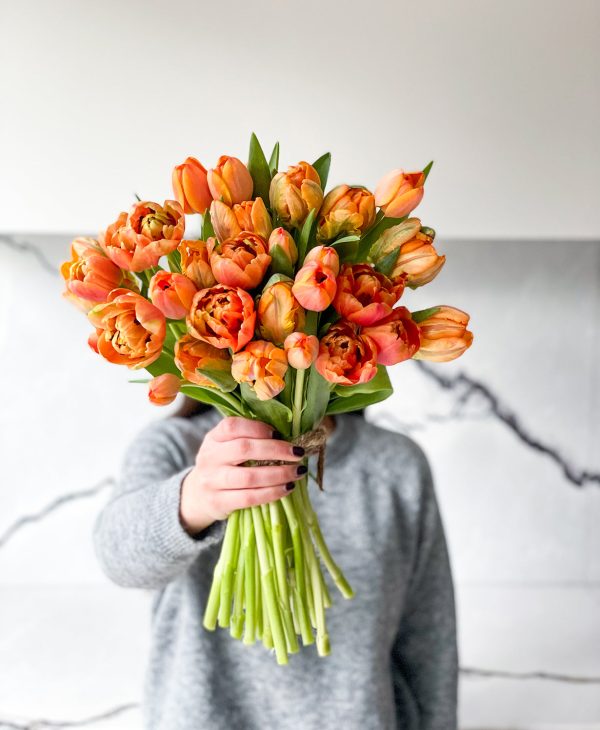 Atomic Orange Double Tulips (30 stems) - Image 3