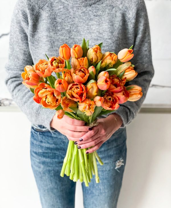 Atomic Orange Double Tulips (30 stems) - Image 5