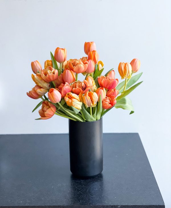 Atomic Orange Double Tulips (30 stems) - Image 6