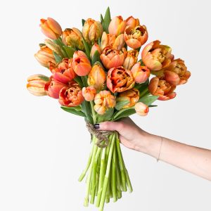Atomic Orange Double Tulips (30 stems)