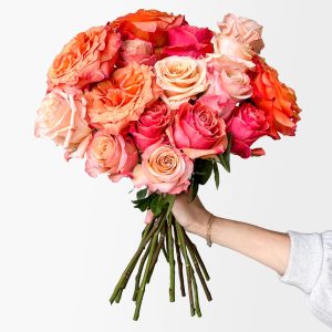 Apple Orchard Roses (16 stems)